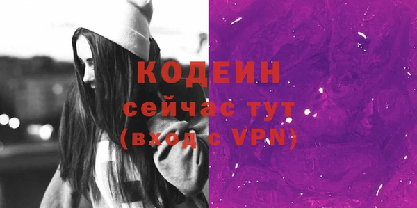 спиды Дмитриев